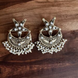 Moon Star Earrings #105